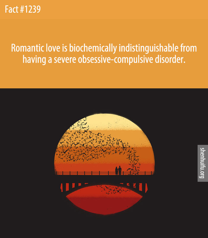 Romantic love is biochemically indistinguishable from having a severe obsessive-compulsive disorder.