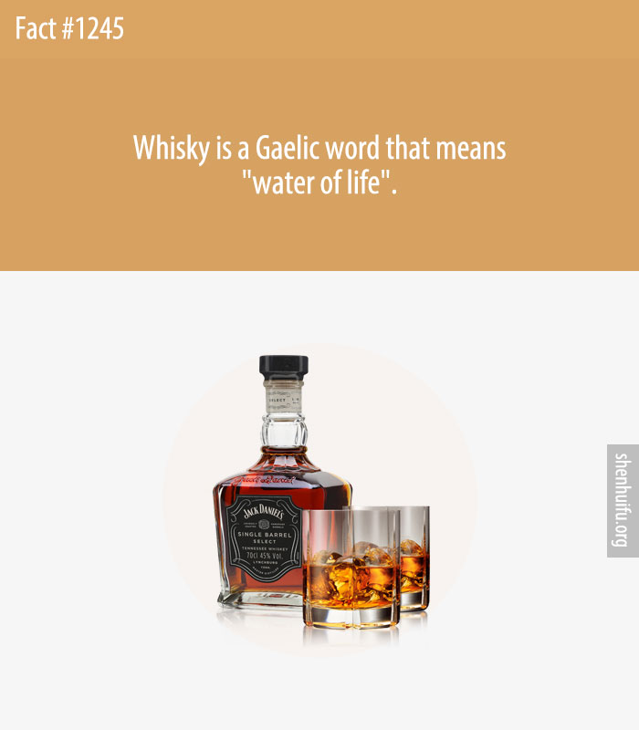 Whisky is a Gaelic word that means 'water of life'.