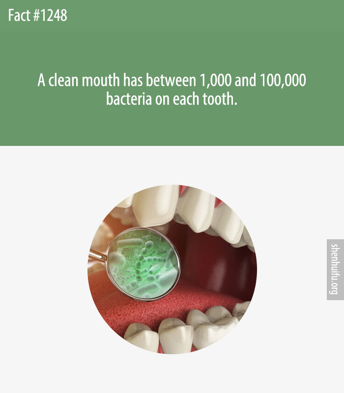 A clean mouth has between 1,000 and 100,000 bacteria on each tooth.