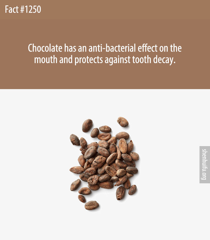 Chocolate has an anti-bacterial effect on the mouth and protects against tooth decay.