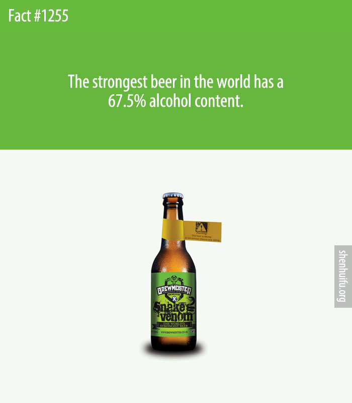 The strongest beer in the world has a 67.5% alcohol content.