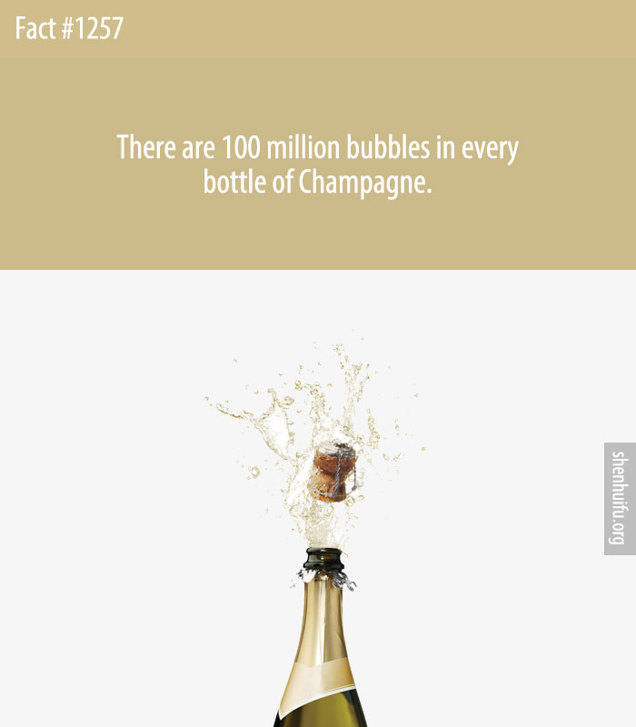 There are 100 million bubbles in every bottle of Champagne.
