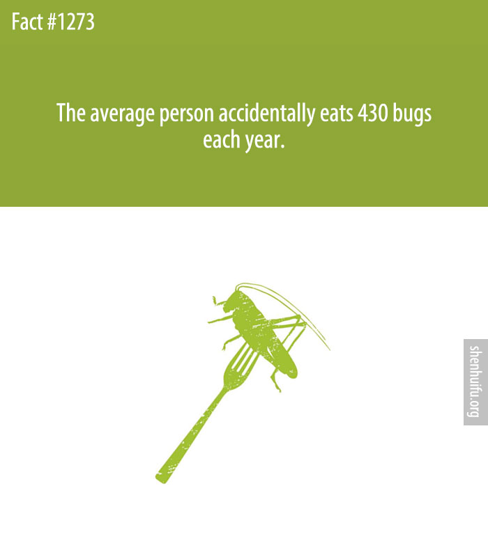 The average person accidentally eats 430 bugs each year.
