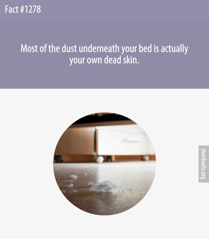 Most of the dust underneath your bed is actually your own dead skin.