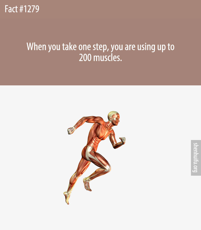 When you take one step, you are using up to 200 muscles.
