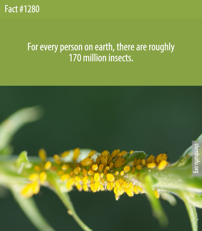 For every person on earth, there are roughly 170 million insects.