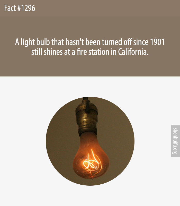 A light bulb that hasn't been turned off since 1901 still shines at a fire station in California.