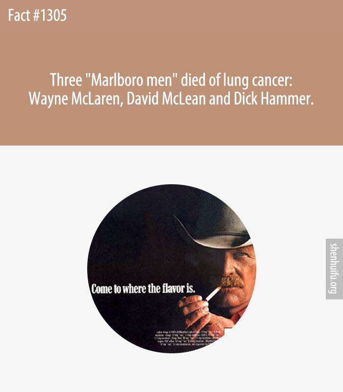 Three 'Marlboro men' died of lung cancer: Wayne McLaren, David McLean and Dick Hammer.