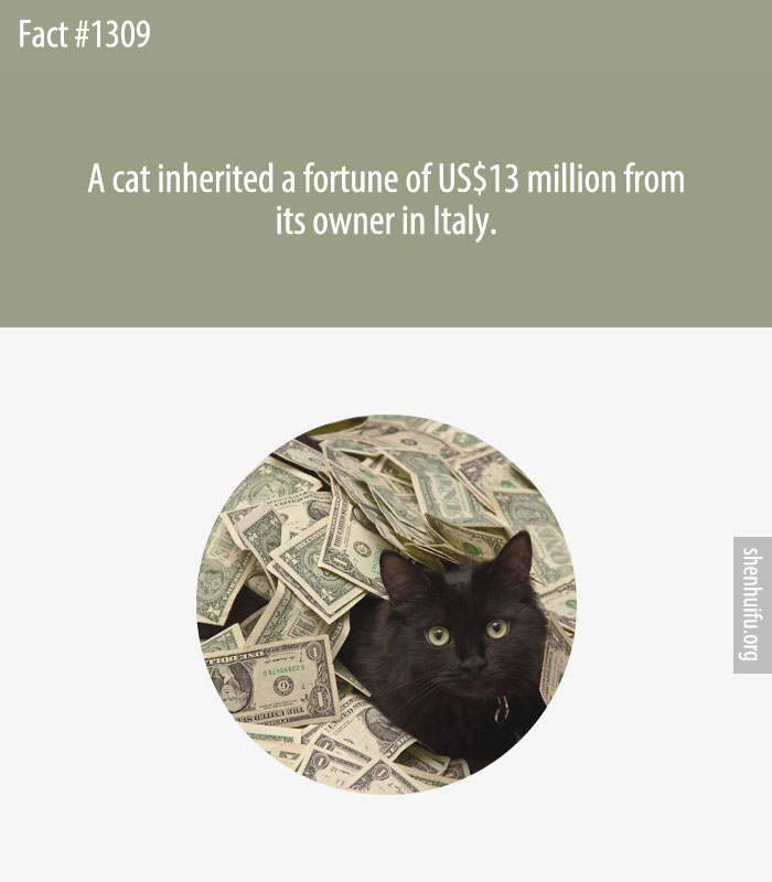 A cat inherited a fortune of US$13 million from its owner in Italy.