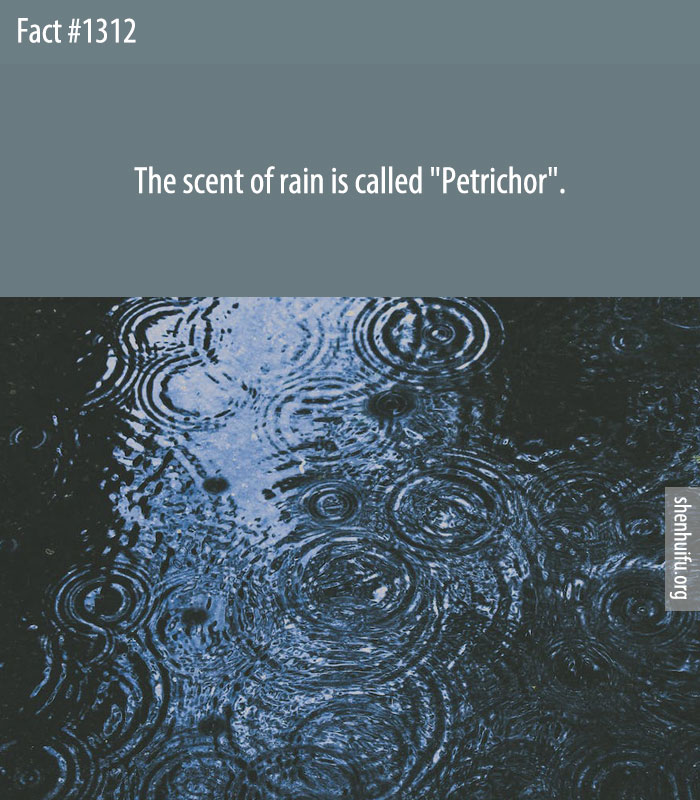 The scent of rain is called 'Petrichor'.
