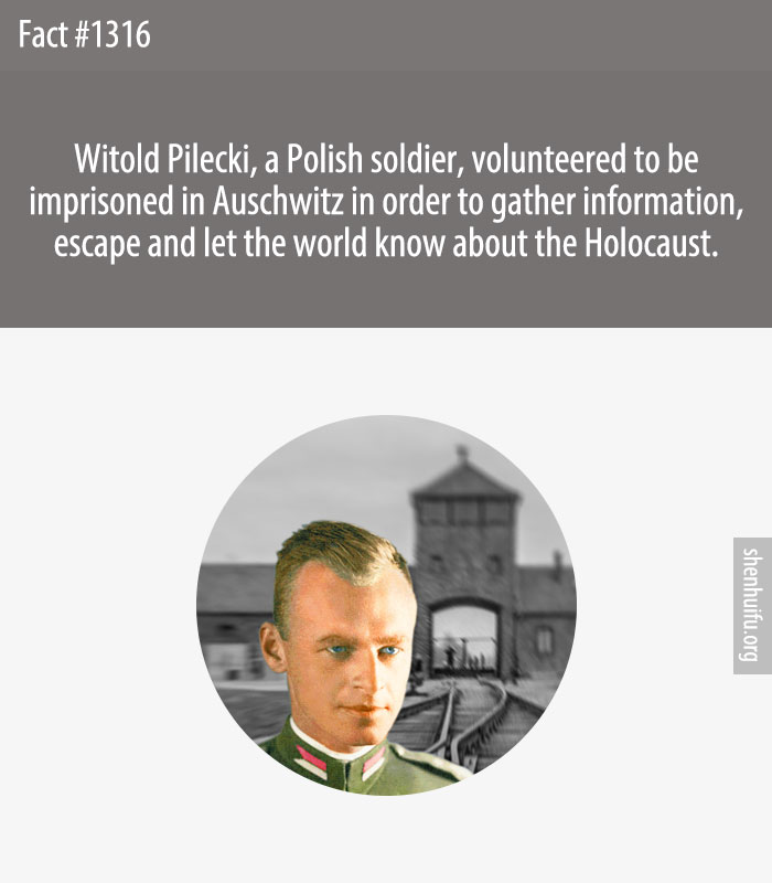 Witold Pilecki, a Polish soldier, volunteered to be imprisoned in Auschwitz in order to gather information, escape and let the world know about the Holocaust.