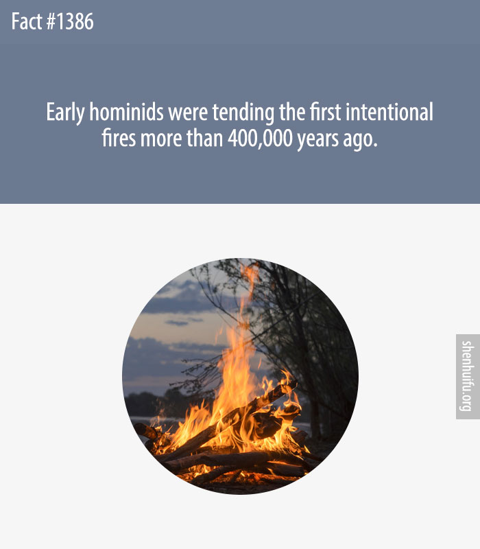 Early hominids were tending the first intentional fires more than 400,000 years ago.