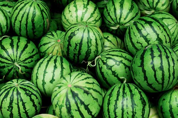 Fun Facts About Watermelon