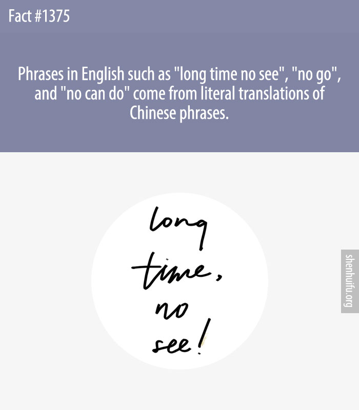 Phrases in English such as 'long time no see', 'no go', and 'no can do' come from literal translations of Chinese phrases.