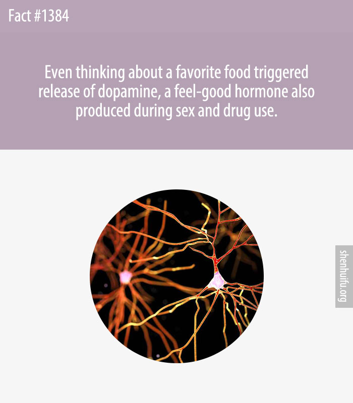 Even thinking about a favorite food triggered release of dopamine, a feel-good hormone also produced during sex and drug use.