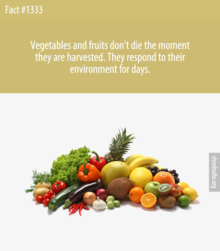 Vegetables and fruits don't die the moment they are harvested. They respond to their environment for days.