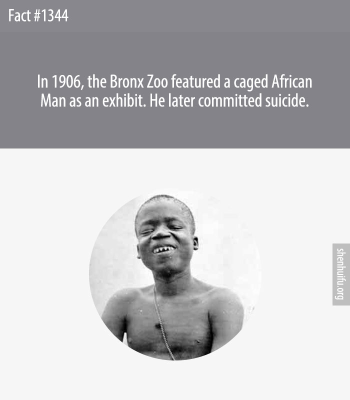 In 1906, the Bronx Zoo featured a caged African Man as an exhibit. He later committed suicide.