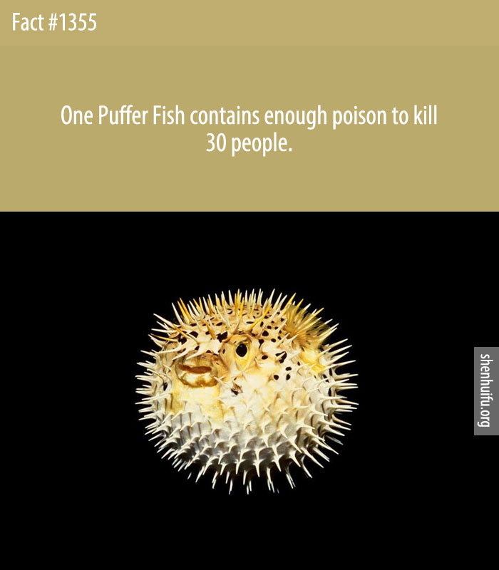 One Puffer Fish contains enough poison to kill 30 people.