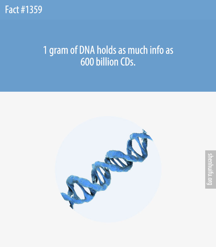 1 gram of DNA holds as much info as 600 billion CDs.