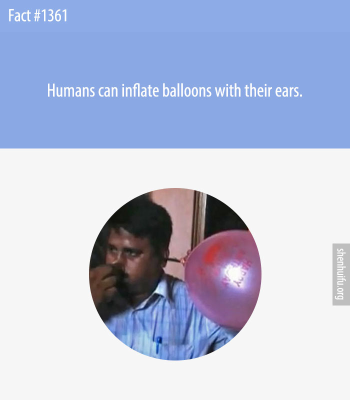 Humans can inflate balloons with their ears.