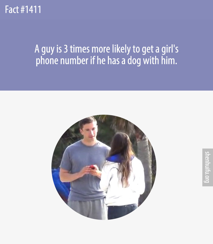 A guy is 3 times more likely to get a girl's phone number if he has a dog with him.