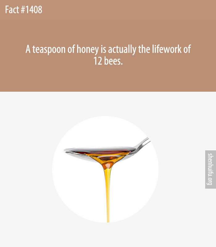 A teaspoon of honey is actually the lifework of 12 bees.
