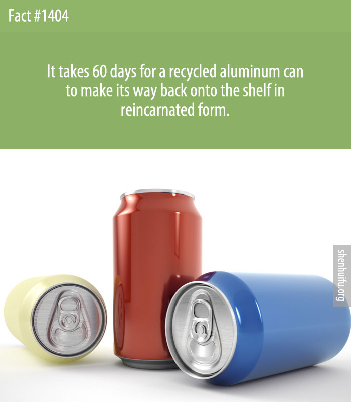 It takes 60 days for a recycled aluminum can to make its way back onto the shelf in reincarnated form.