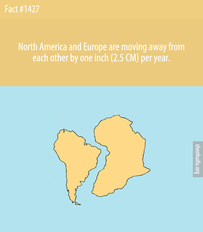 North America and Europe are moving away from each other by one inch (2.5 CM) per year.