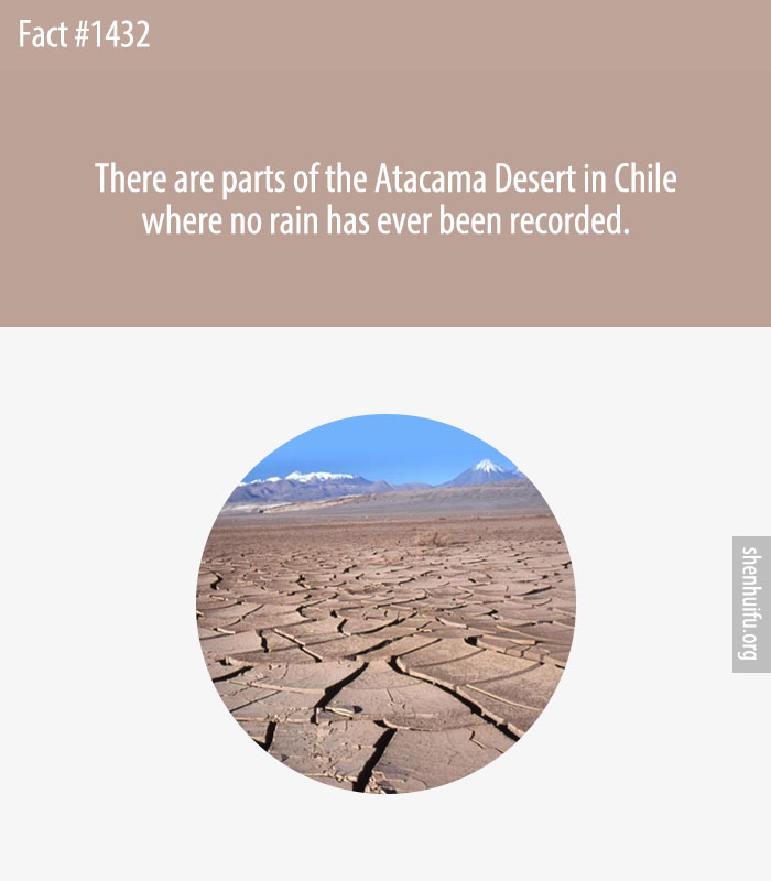 There are parts of the Atacama Desert in Chile where no rain has ever been recorded.