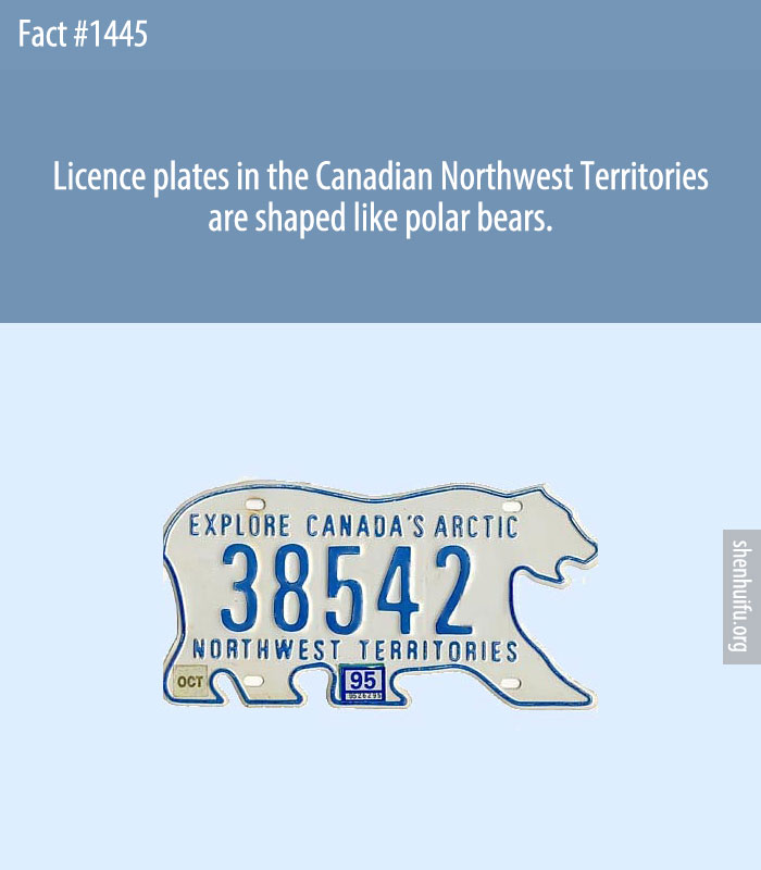 Licence plates in the Canadian Northwest Territories are shaped like polar bears.