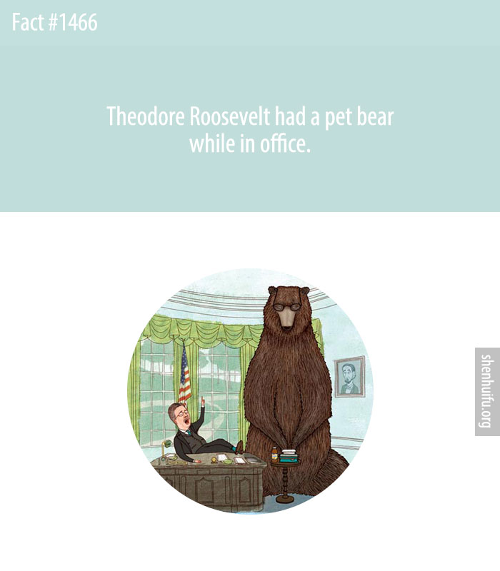 Theodore Roosevelt had a pet bear while in office.
