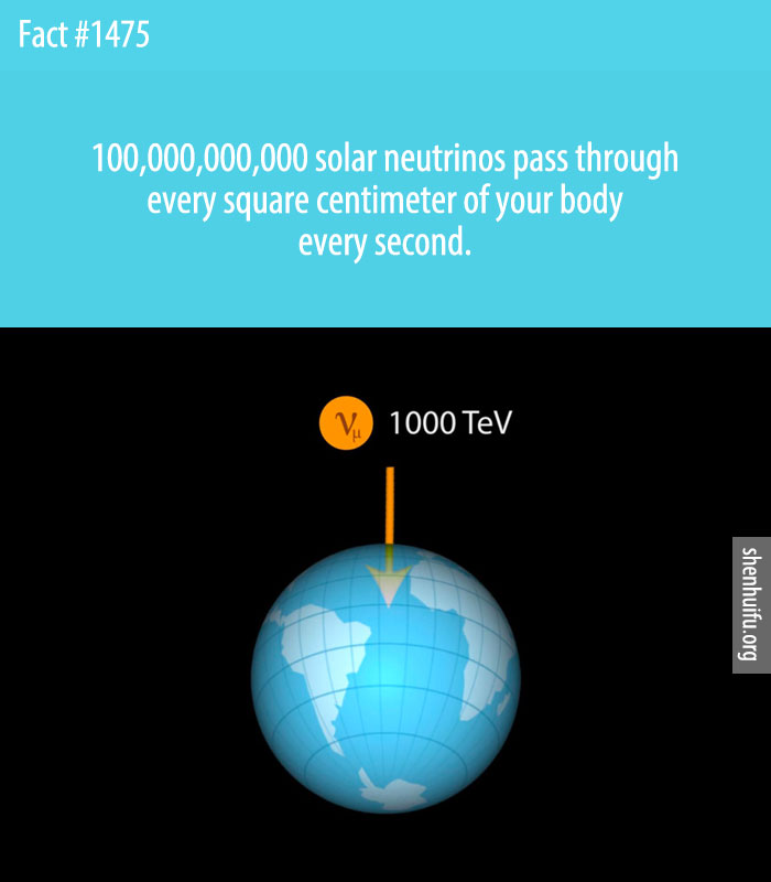 100,000,000,000 solar neutrinos pass through every square centimeter of your body every second.
