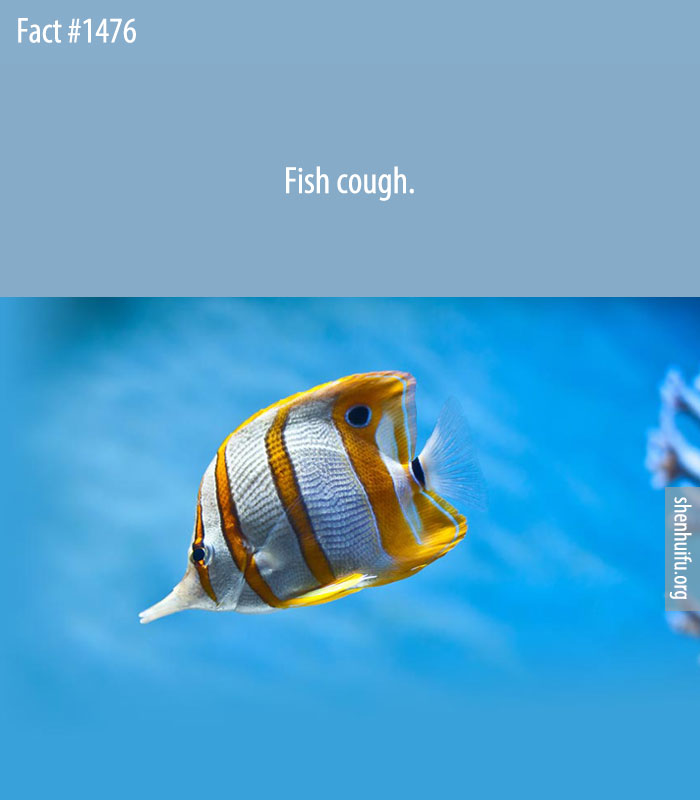 Fish cough.