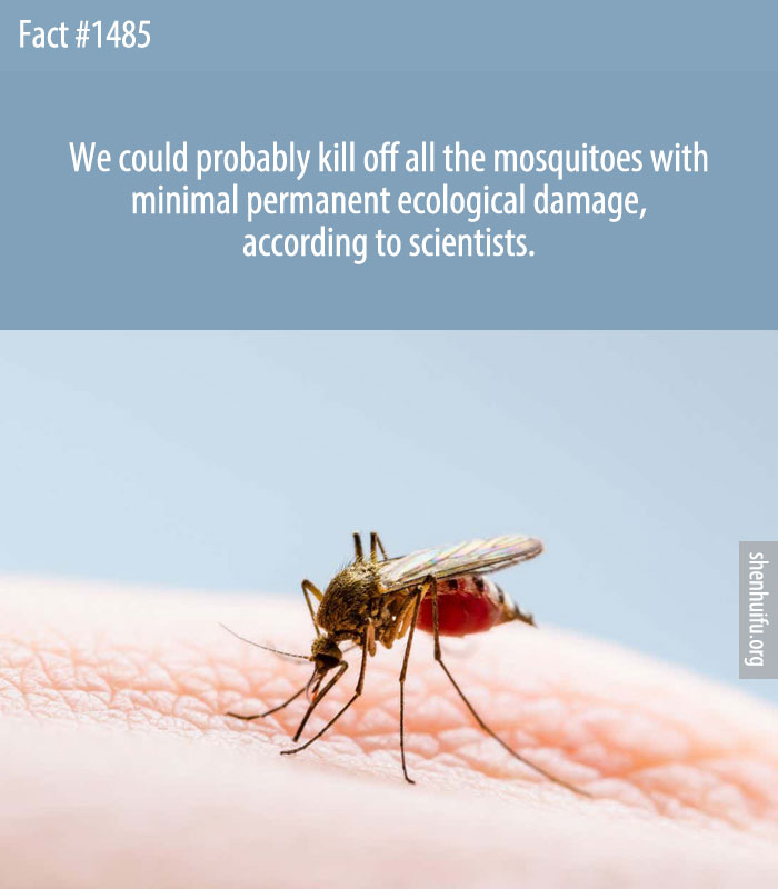We could probably kill off all the mosquitoes with minimal permanent ecological damage, according to scientists.