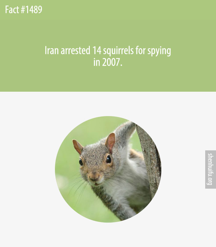 Iran arrested 14 squirrels for spying in 2007.