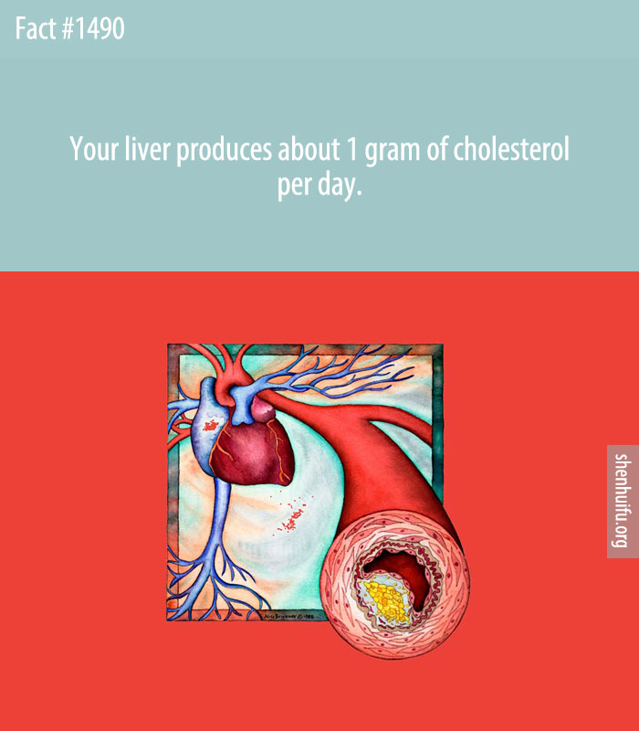 Your liver produces about 1 gram of cholesterol per day.