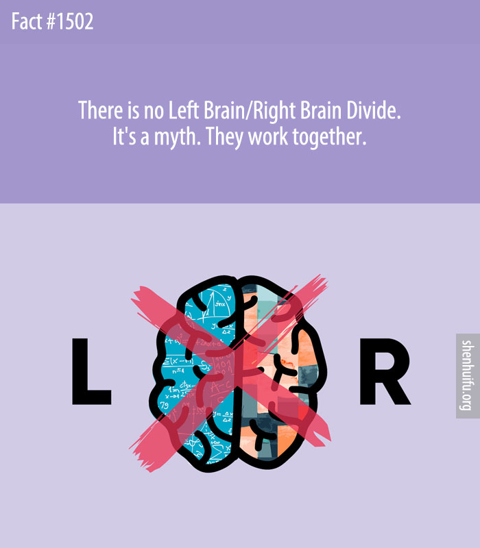 There is no Left Brain/Right Brain Divide. It's a myth. They work together.