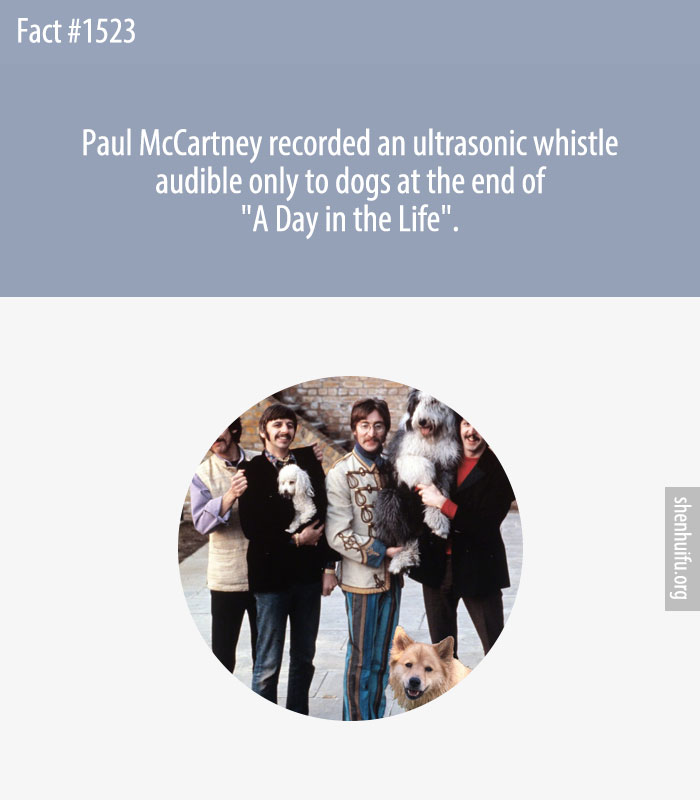 Paul McCartney recorded an ultrasonic whistle audible only to dogs at the end of 'A Day in the Life'.