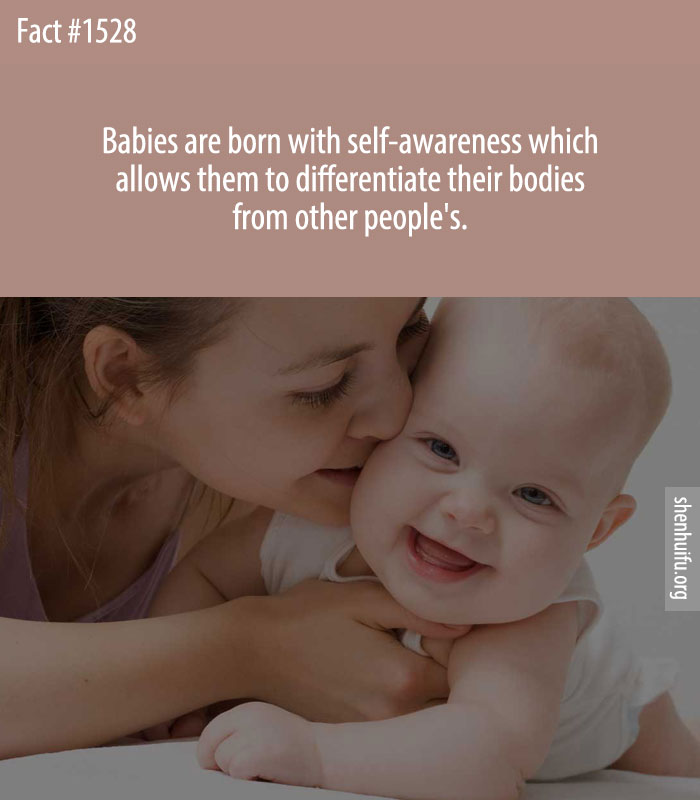 Babies are born with self-awareness which allows them to differentiate their bodies from other people's.
