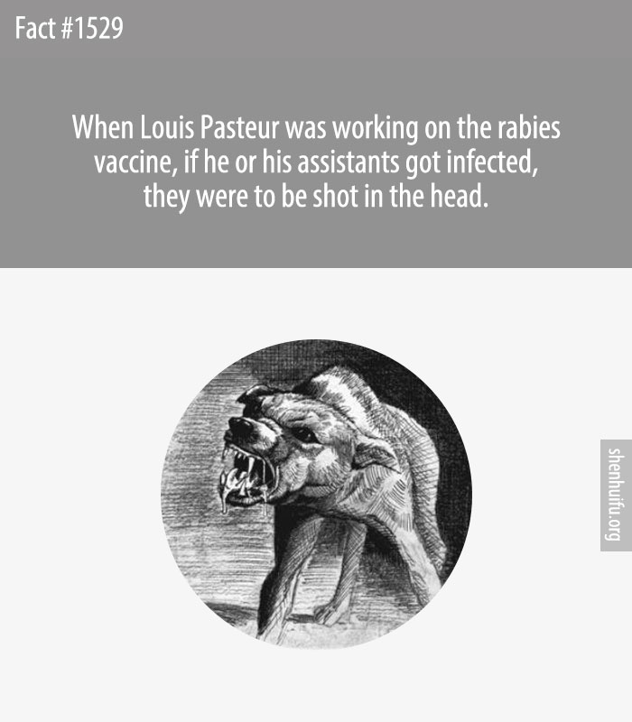 When Louis Pasteur was working on the rabies vaccine, if he or his assistants got infected, they were to be shot in the head.