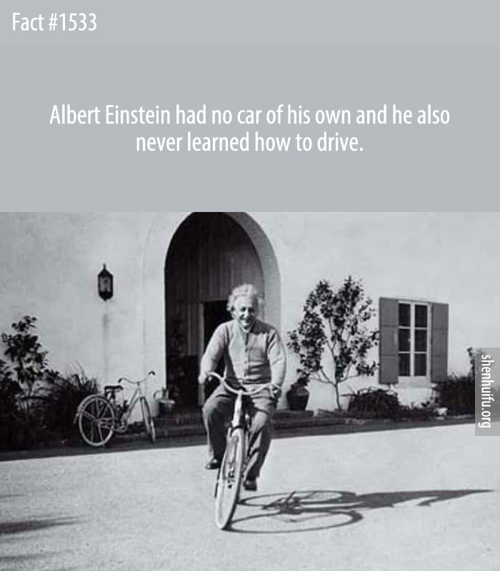 Albert Einstein had no car of his own and he also never learned how to drive.