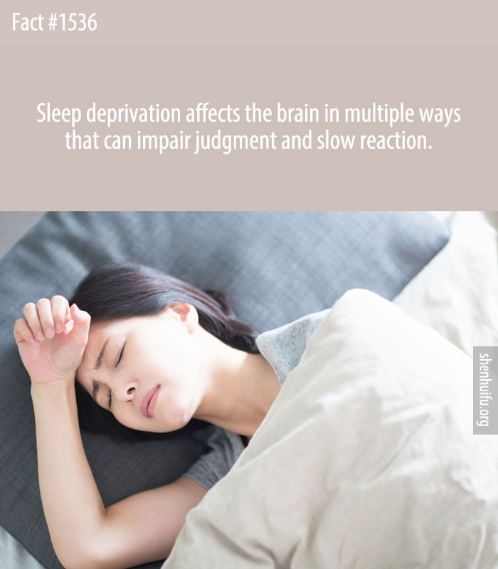 Sleep deprivation affects the brain in multiple ways that can impair judgment and slow reaction.
