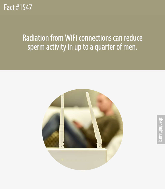 Radiation from WiFi connections can reduce sperm activity in up to a quarter of men.