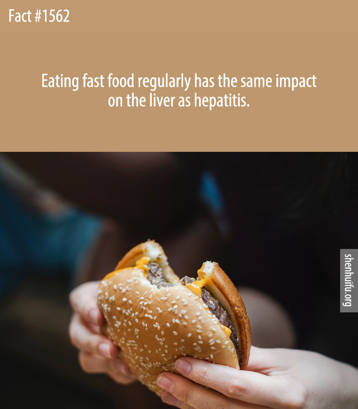 Eating fast food regularly has the same impact on the liver as hepatitis.