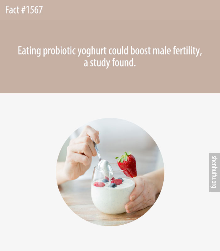 Eating probiotic yoghurt could boost male fertility, a study found.