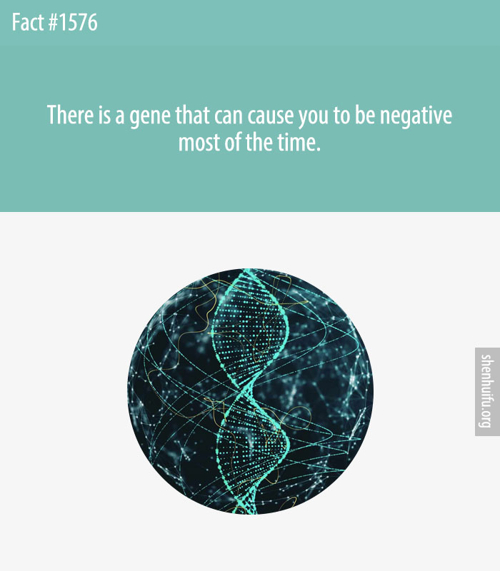 There is a gene that can cause you to be negative most of the time.
