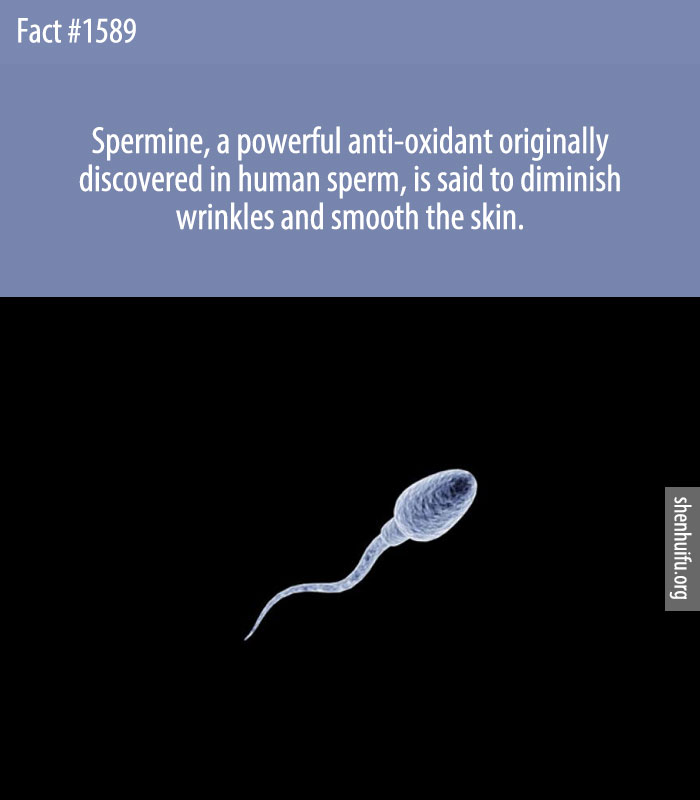 Spermine, a powerful anti-oxidant originally discovered in human sperm, is said to diminish wrinkles and smooth the skin.