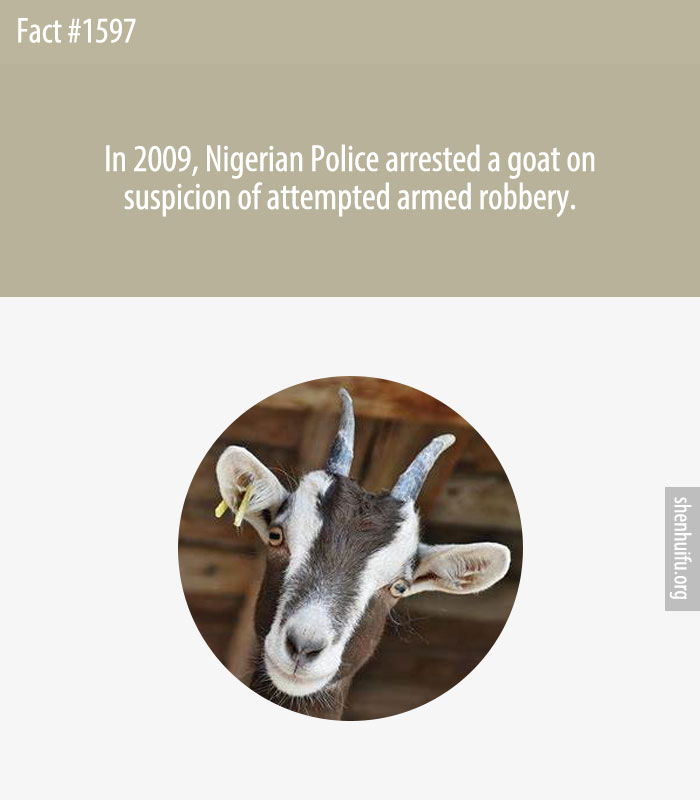 In 2009, Nigerian Police arrested a goat on suspicion of attempted armed robbery.
