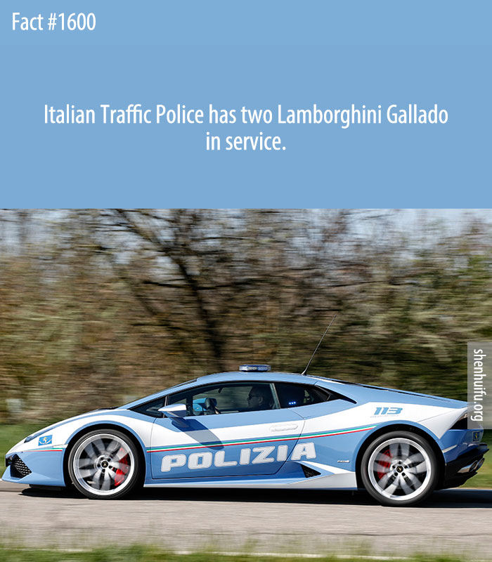 Italian Traffic Police has two Lamborghini Gallado in service.