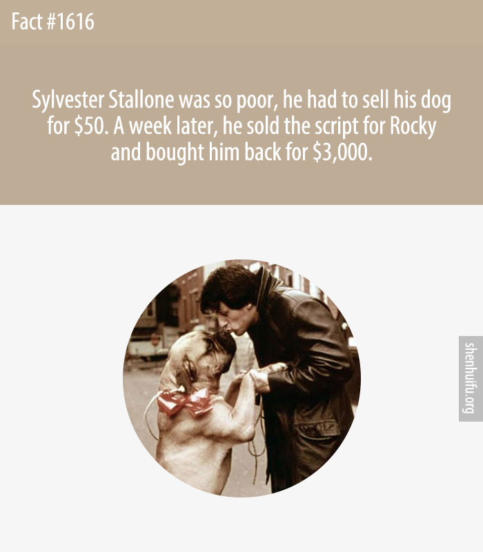 Sylvester Stallone was so poor, he had to sell his dog for $50. A week later, he sold the script for Rocky and bought him back for $3,000.